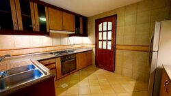 Cavenagh Lodge (D9), Apartment #392661701